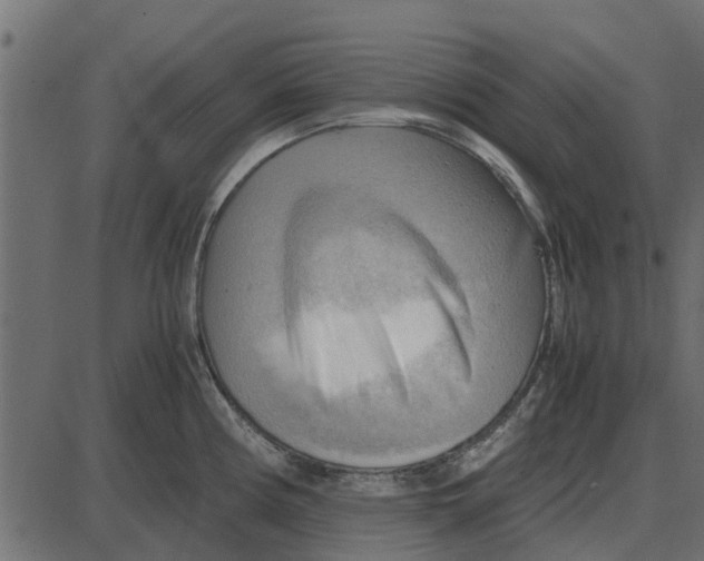 X0000087401194200705181324