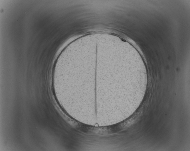 X0000087401195200705181324