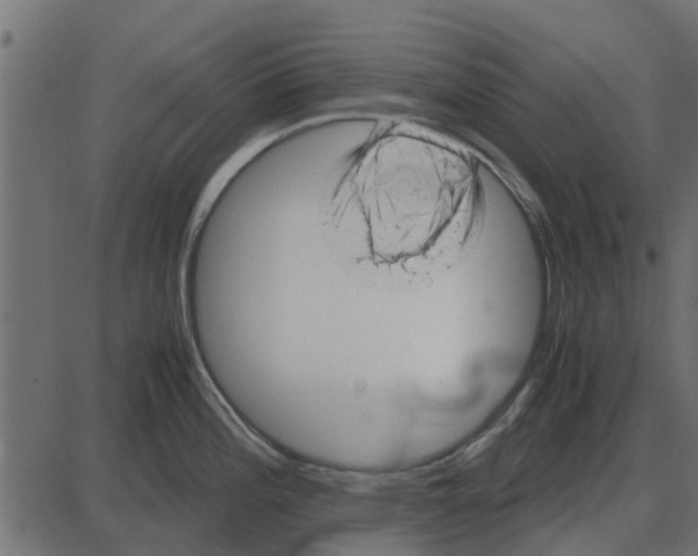 X0000087401196200705181324