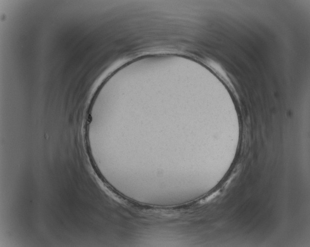 X0000087401197200705181324