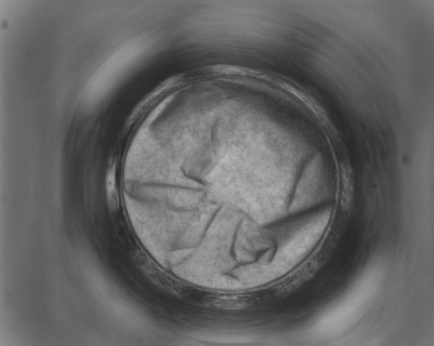 X0000087401198200705181324