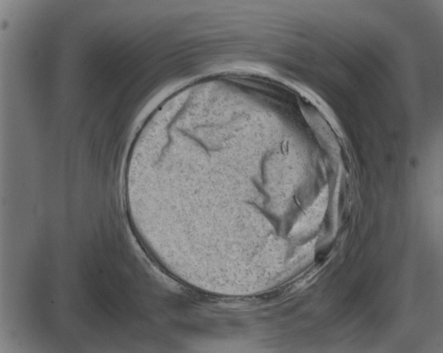 X0000087401199200705181324