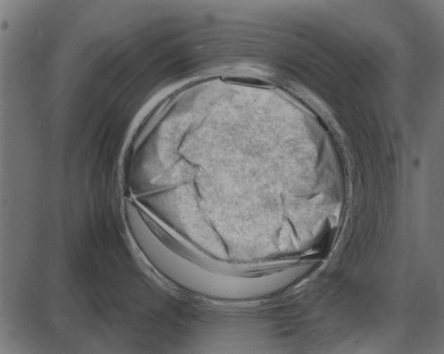 X0000087401200200705181324