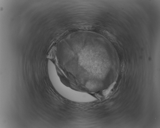 X0000087401202200705181324