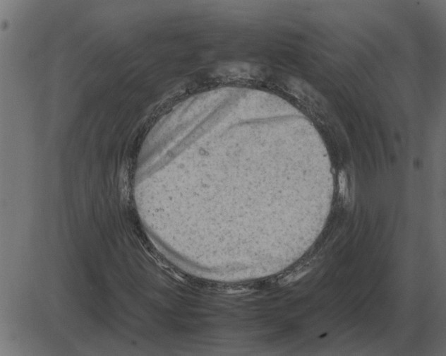 X0000087401203200705181324