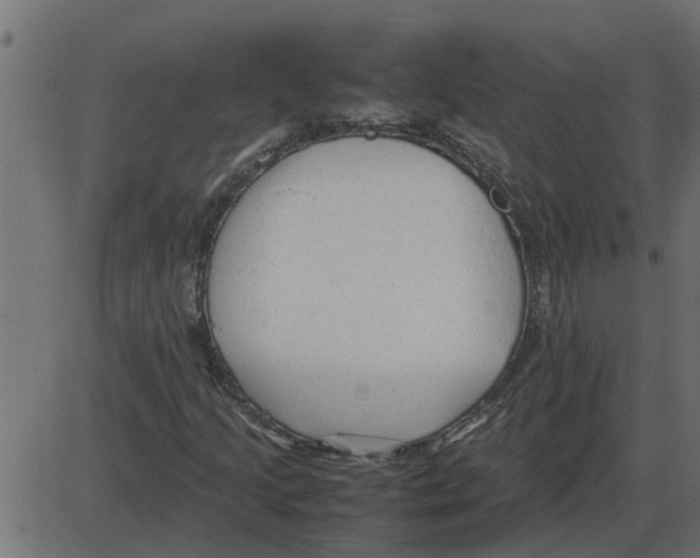 X0000087401205200705181324