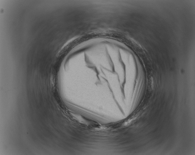 X0000087401206200705181324