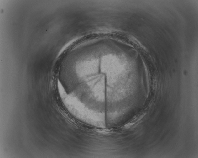 X0000087401208200705181324