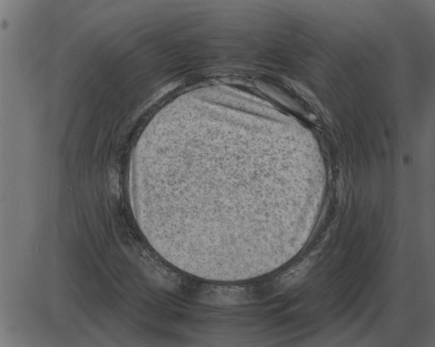 X0000087401209200705181324