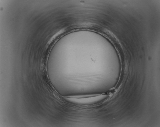 X0000087401210200705181324