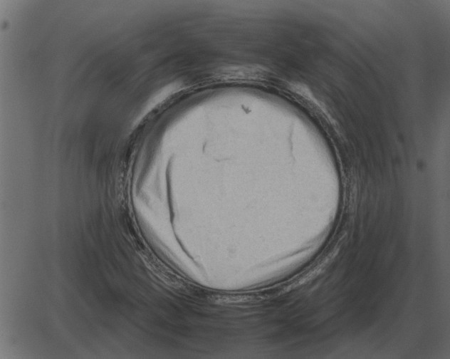 X0000087401211200705181324