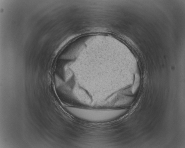 X0000087401212200705181324