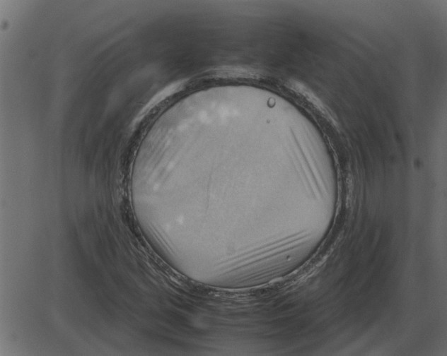 X0000087401213200705181324