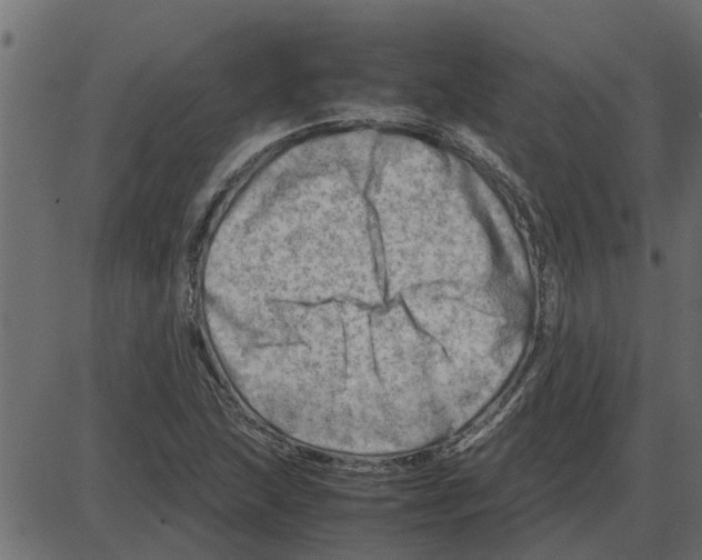 X0000087401215200705181324