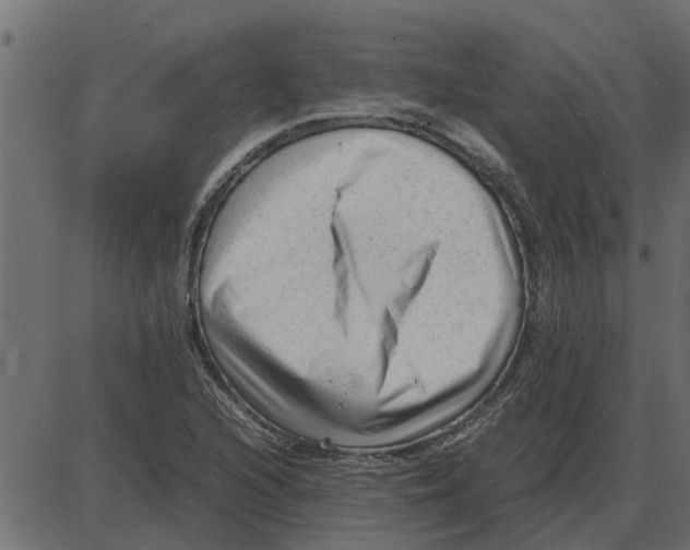 X0000087401216200705181324