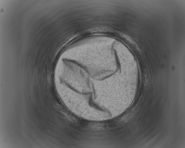 X0000087401217200705181324