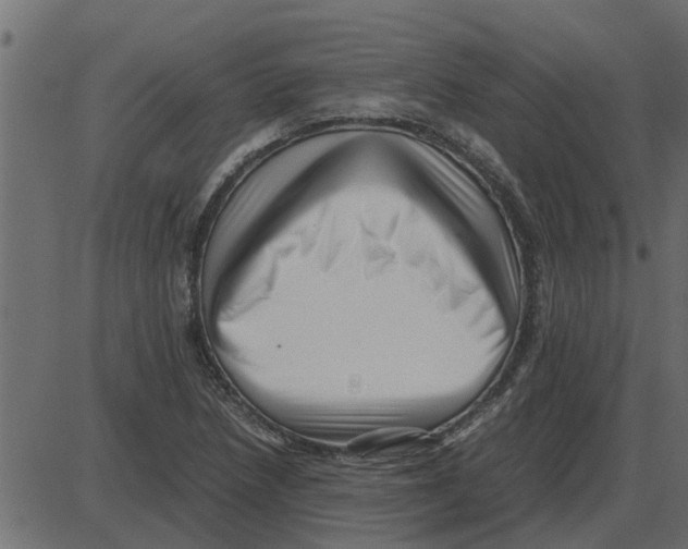 X0000087401218200705181324