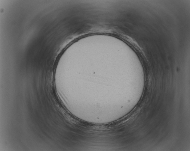 X0000087401220200705181324