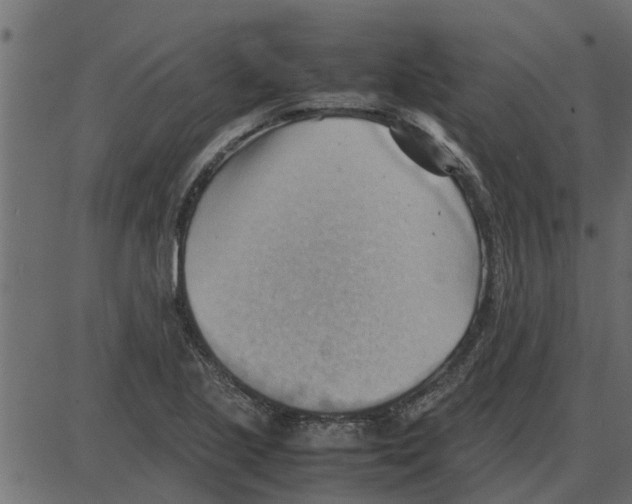 X0000087401221200705181324