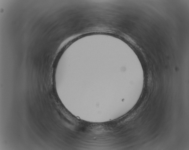 X0000087401222200705181324