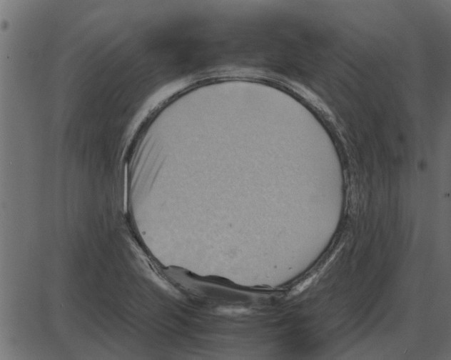 X0000087401223200705181324