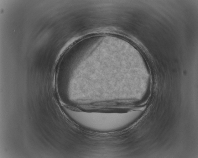 X0000087401224200705181324