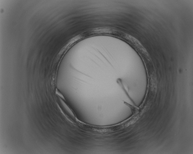 X0000087401225200705181324