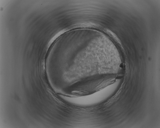 X0000087401226200705181324