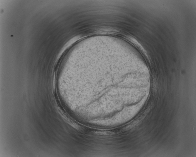 X0000087401227200705181324