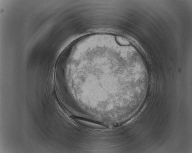 X0000087401228200705181324