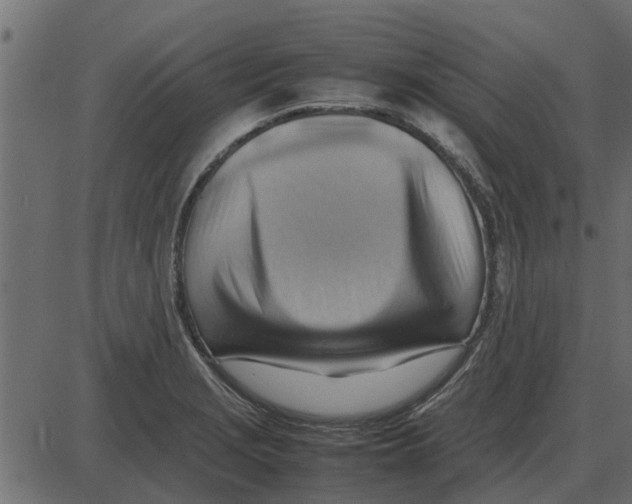 X0000087401229200705181324