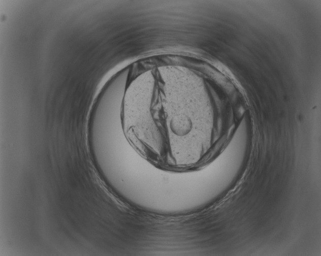 X0000087401230200705181324