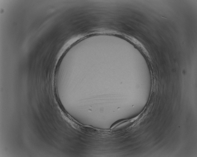 X0000087401231200705181324