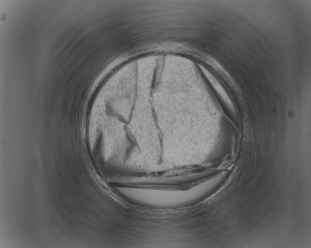 X0000087401232200705181324