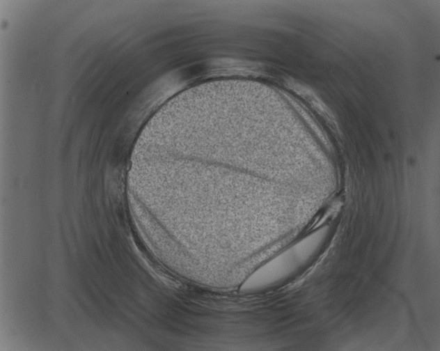 X0000087401233200705181324