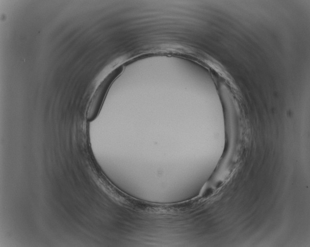 X0000087401234200705181324