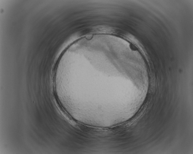 X0000087401235200705181324