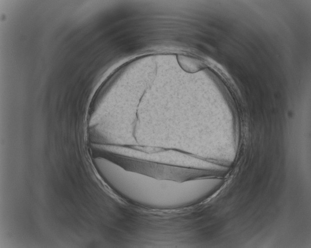 X0000087401236200705181324