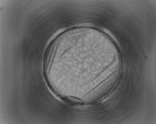 X0000087401237200705181324