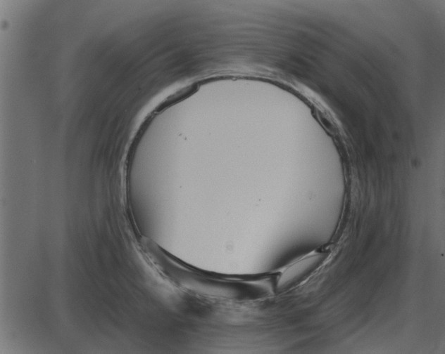 X0000087401238200705181324