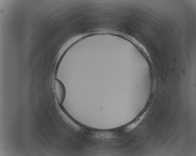 X0000087401239200705181324