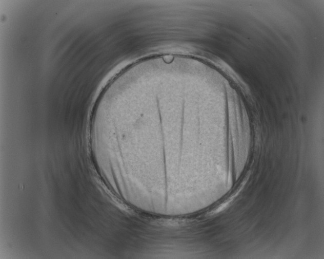 X0000087401240200705181324