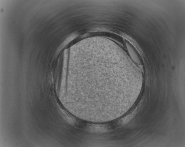 X0000087401241200705181324