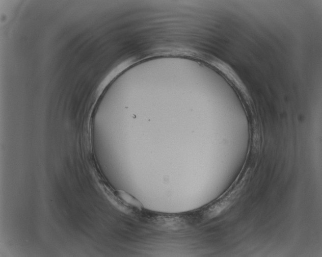 X0000087401242200705181324