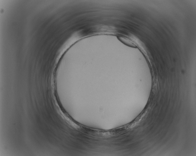 X0000087401243200705181324