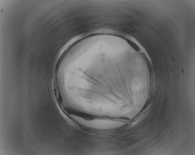 X0000087401245200705181324