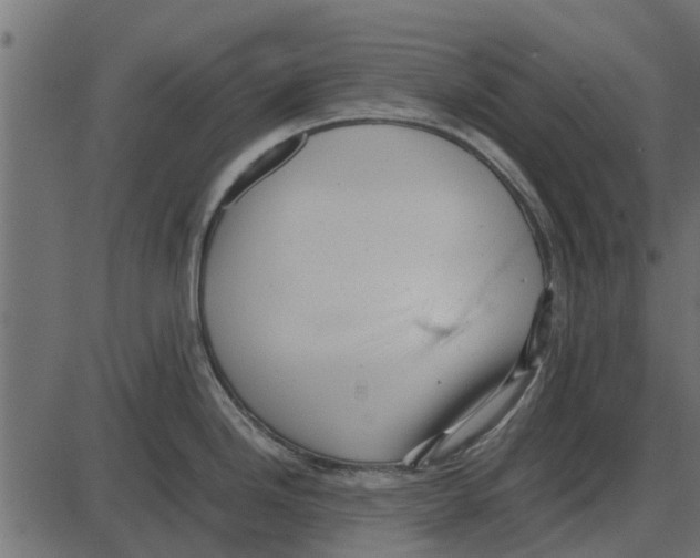 X0000087401246200705181324