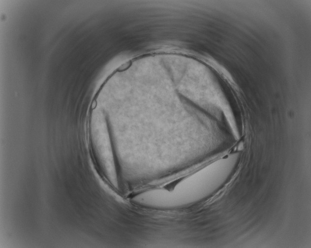 X0000087401247200705181324