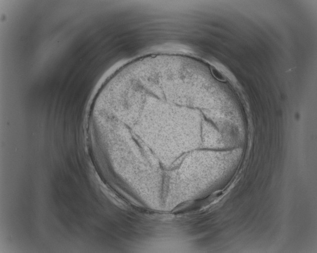 X0000087401248200705181324