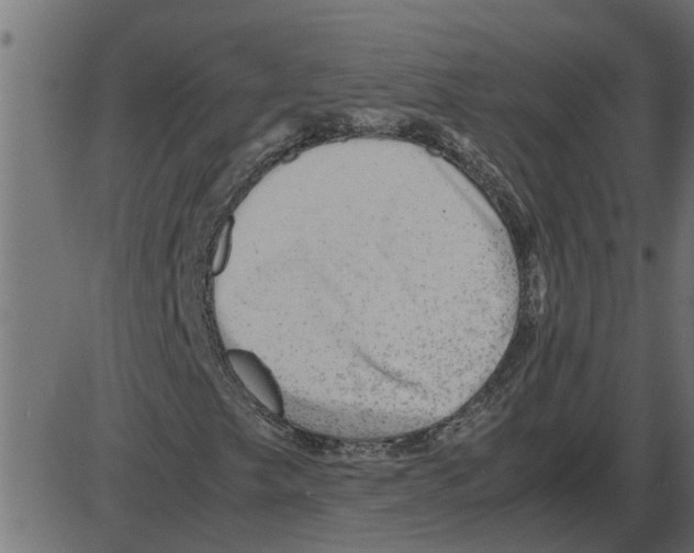 X0000087401249200705181324